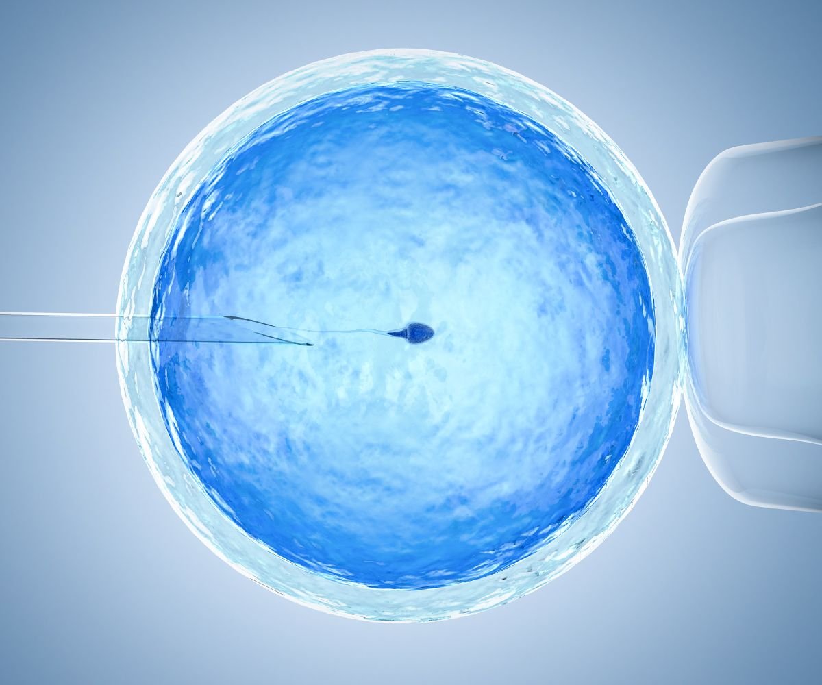 Embryo Pooling IVF Treatment in Chandigarh, Mohali, and Amritsar | Fertility IVF